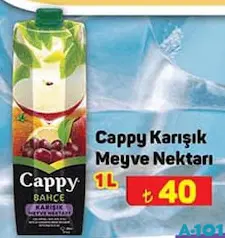 CAPPY KARIŞIK MEYVE NEKTARI 1 L